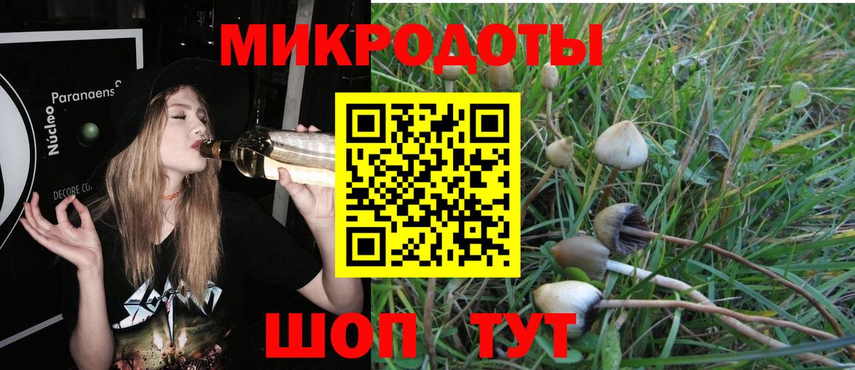 Калач-на-Дону  Галлюциногенные грибы Cubensis  Вход с VPN 